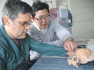 , homo sapiens / ,      , 11,5  . ,        Homo sapiens.       . Darren Curnoe,  Peter Schouten,   www.theconversation.edu.au