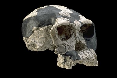 OH 24   "Twiggy",   1968    (2-1,75 .  ..)