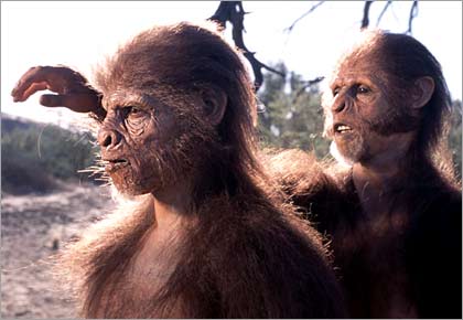     Homo habilis
