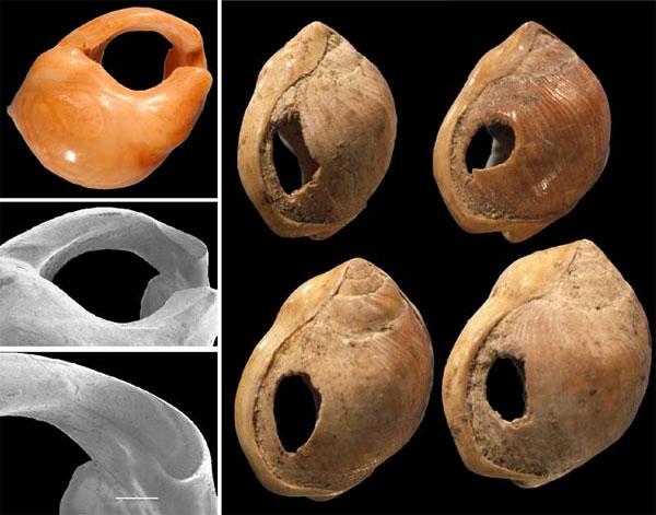  ,    .  SB,  .    www.svf.uib.no