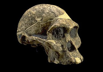   c http://www.ido.edu.ru/psychology/anthropology/4-07.html