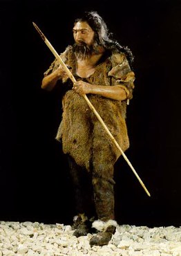    http://www.paleontologiaumana.it/neanderthalensis.htm