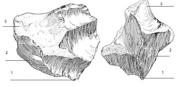     http://www.dartfordarchive.org.uk/early_history/magnified/clactonian_flake_tools.html
