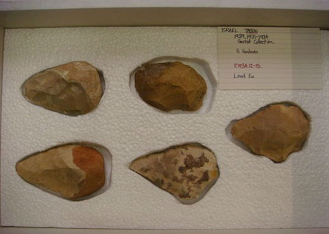     ,            ( Wikimedia Commons). 